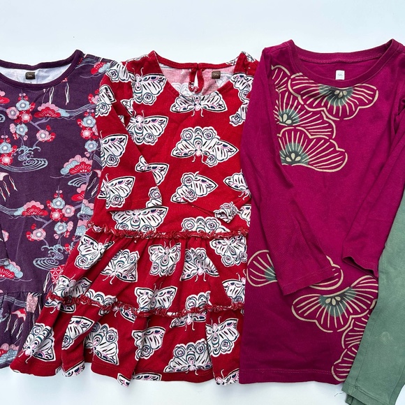 Tea Collection Other - Lot of 3 Tea Collection Dresses and matching leggings, size 3 Girls